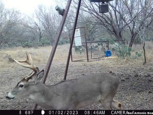 385 County Road 334, Charlotte, TX 78011