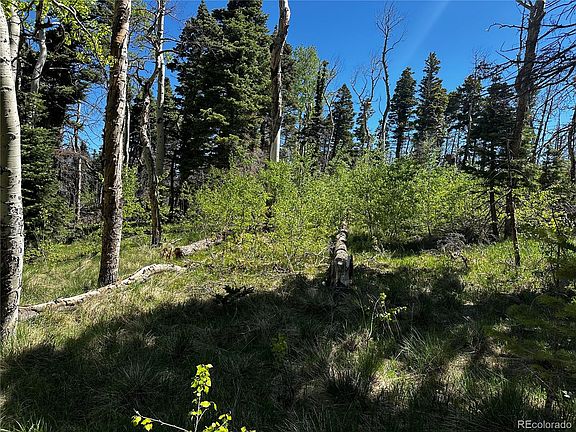 3rd image of 2506 Petito Drive LOT 2506