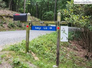 100 Ivy Ln, Banner Elk, NC 28604