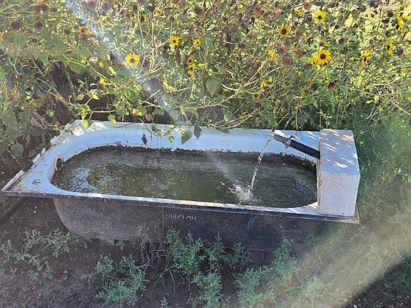 5th image of 11976 Tate Rd Tract 25B