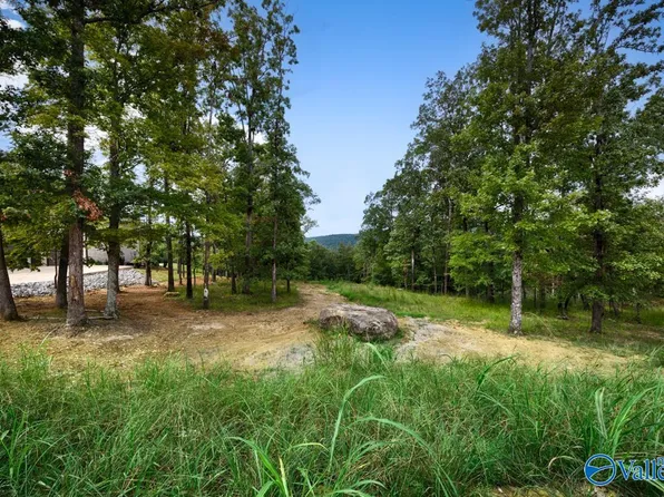 49 Watson Grande Way SE, Owens Cross Roads, AL 35763