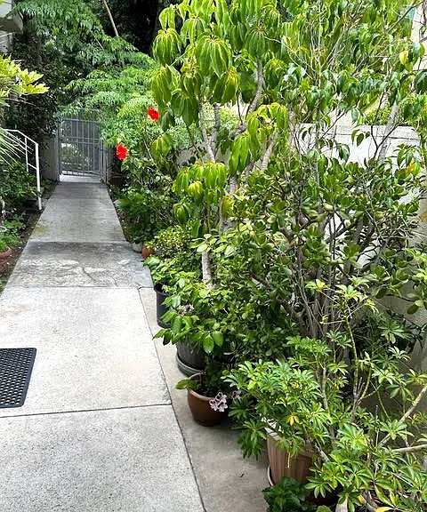 5160 Denny Ave #1 — Photo 13