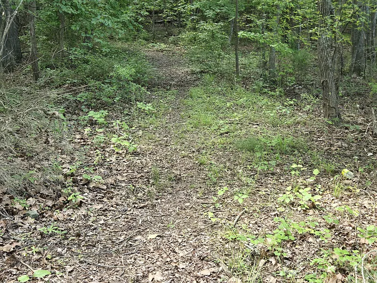 TVA Access