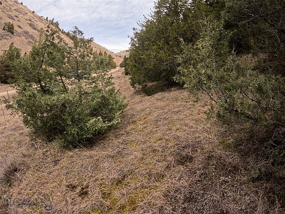 5th image of Nhn Pole Gulch Rd