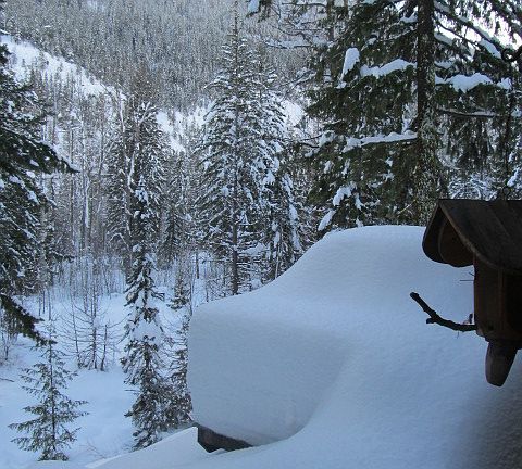 winter view from the deck