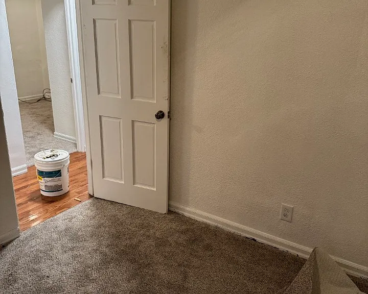 Shows new carpeting