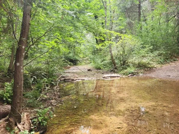 4251 Hotchkiss Hill Rd, Georgetown, CA 95634