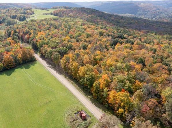 Clark Rd #3, Alfred Station, NY 14803