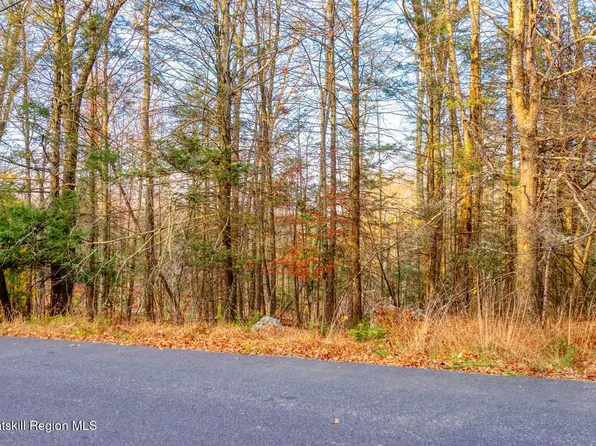 Tbd Cherry Hill Lot #2 Road, Stone Ridge, NY 12484
