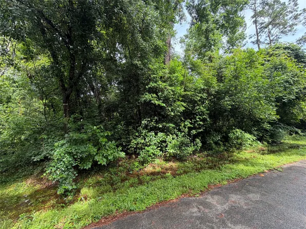LOT 20 Idlewild Rd, New Caney, TX 77357