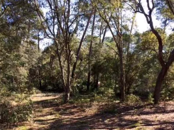 111 Scipio Landing Rd, Apalachicola, FL 32320