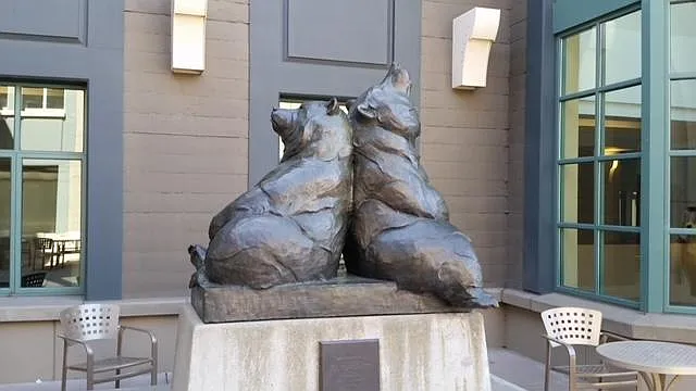 Close to CAL- Go BEARS!