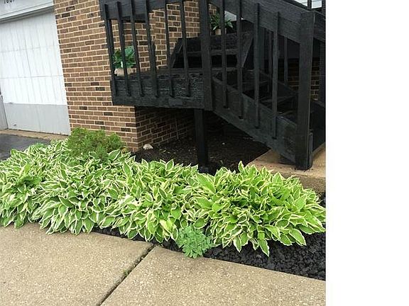 5th image of 788 Delmar Ct #1