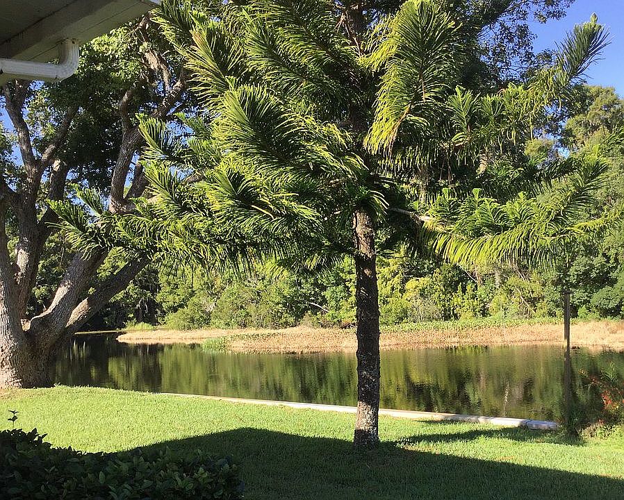 1st image of 177 S Tara Dr