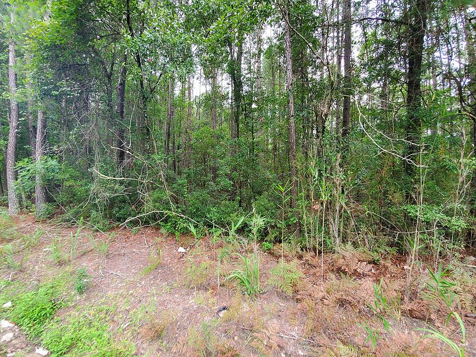 0 2nd Texas Rd, Saint SC 29477 MLS 43910 Zillow