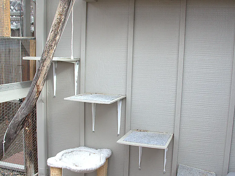 Small catio