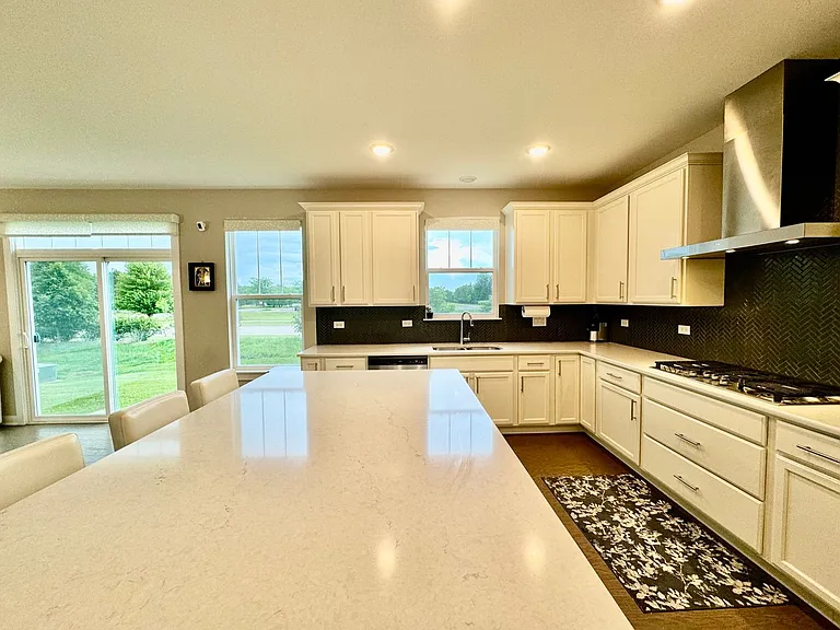 233 Farmstead Ct — Photo 7