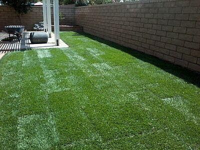 2nd image of 27550 Lovage Ct
