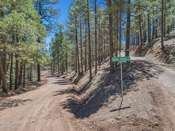 4th image of 5216 Hidden Hollow Rd