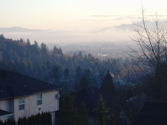 View from master bathroom window