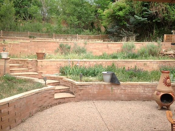 back yard