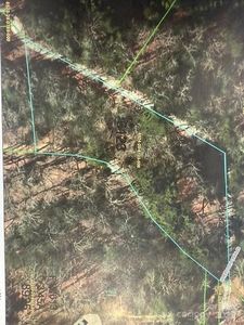 9999 Shelton Rd #1, Lake Toxaway, NC, 28747