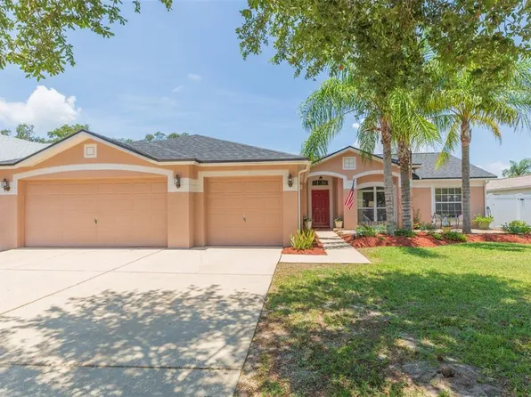 10313 Tarragon Dr, Riverview, FL 33569