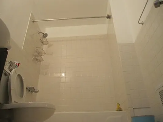 Rented by New York Realty Minimax Inc | media 14