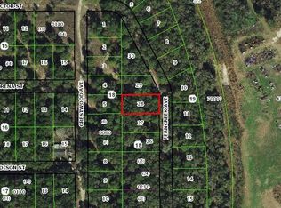 919 Ferncreek Ave, Inverness, FL 34453