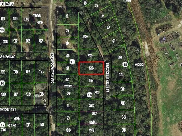 919 Ferncreek Ave, Inverness, FL 34453
