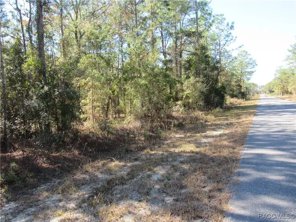 0 SW Beaver Dr, Dunnellon, FL 34431