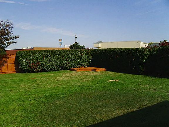 3rd image of 1701 Goliad Dr