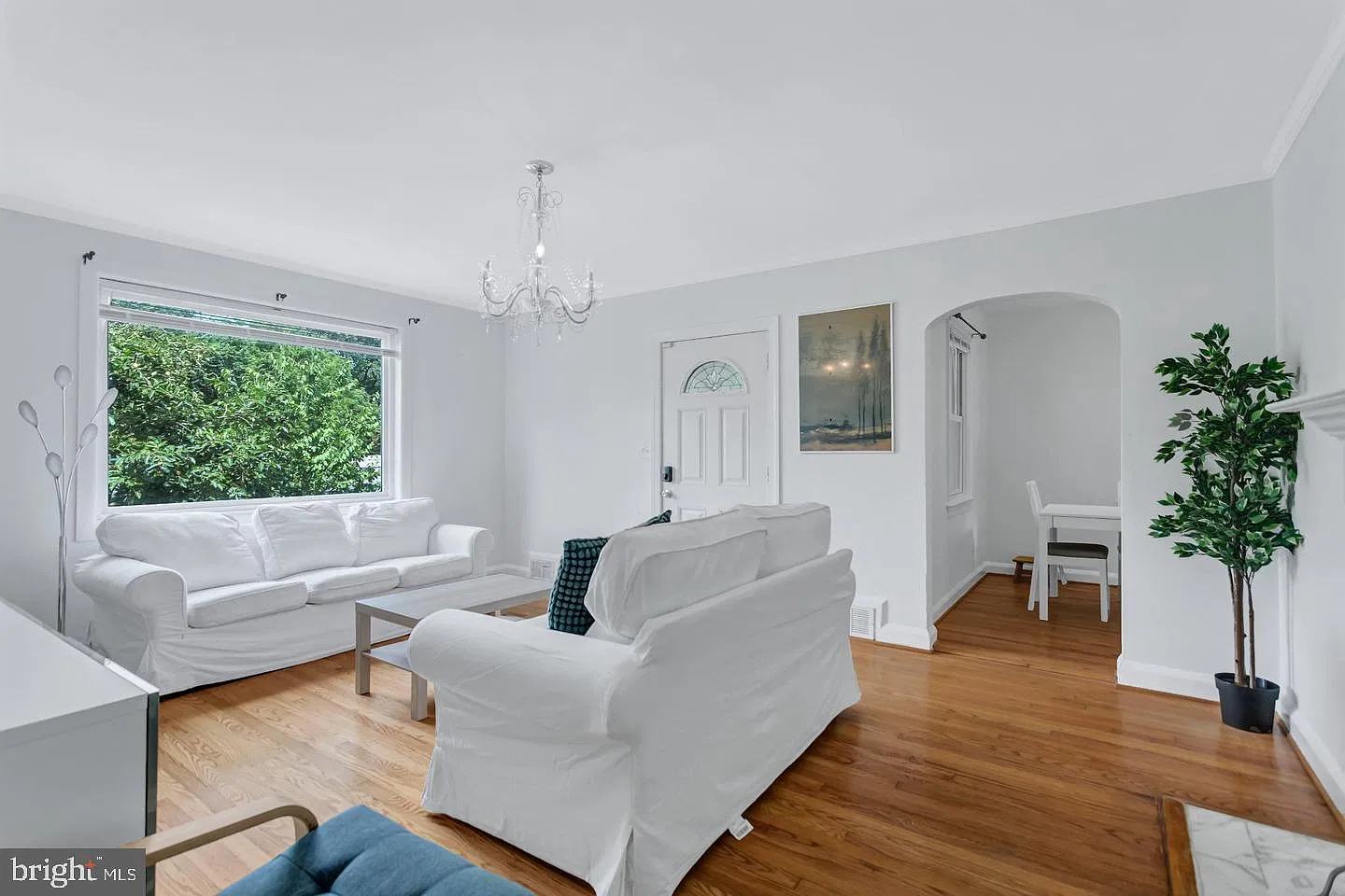 1 bed, 1.0 bath, 2600 sqft, $1,900 — Photo 3