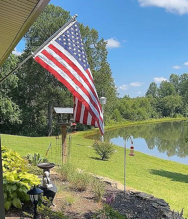 Professional landscape