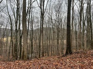 0 Wild Cat Hill Rd, Gap Mills, WV 24941