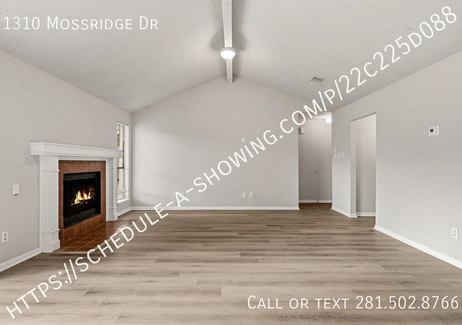 Special Available! — Photo 4