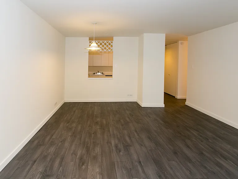 Dining/Living room