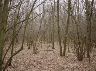 Baldwin St, Hudsonville, MI 49426