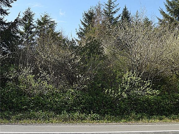 4th image of 163 Point Brown Ave SW