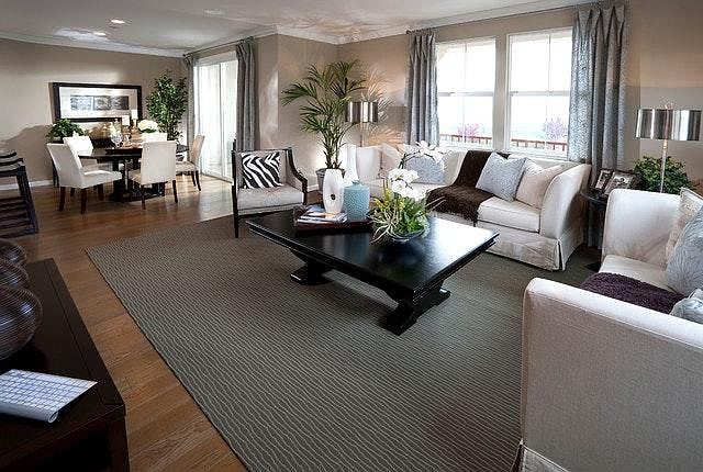 living room (model home)