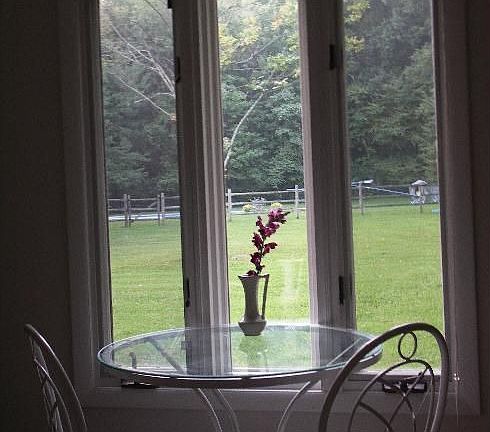 Library Rear section