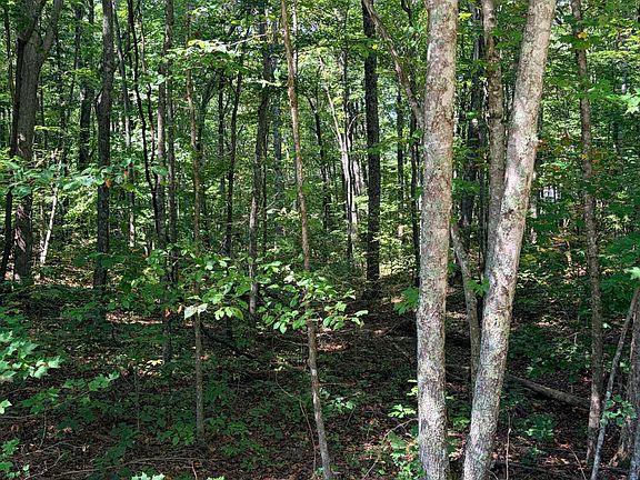 5th image of Cowpens Dr