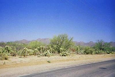 3rd image of 0 N La Cholla Blvd