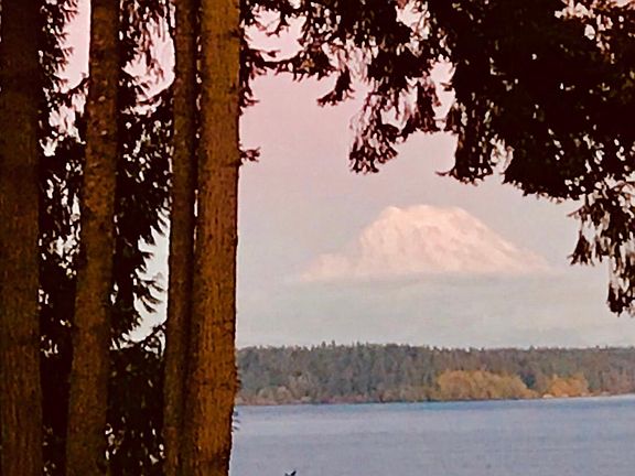 Views of Mt. Rainier