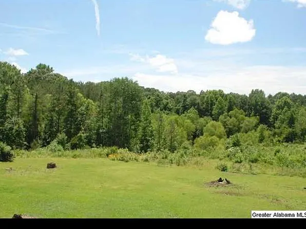 20760 Thrasher Rd, Woodstock, AL 35188