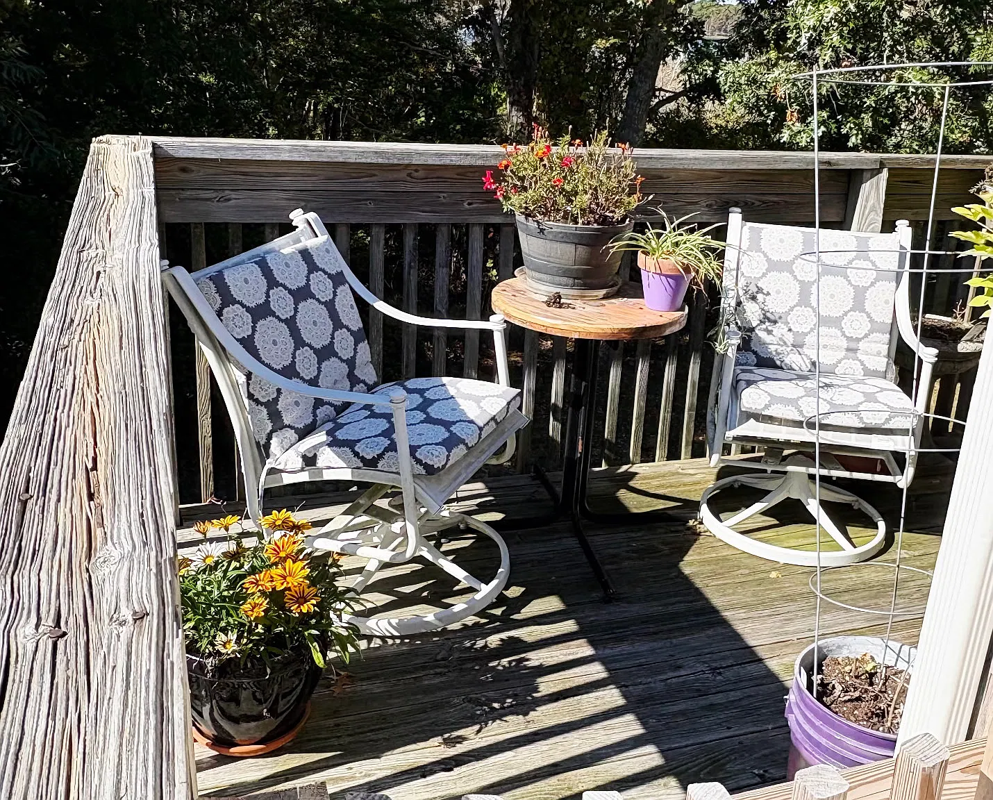 2 bed, 700 sqft, $2,650 — Photo 4