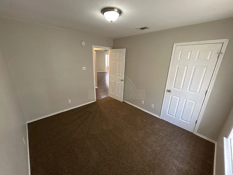 4507 Lonesome Dove Dr — Photo 23