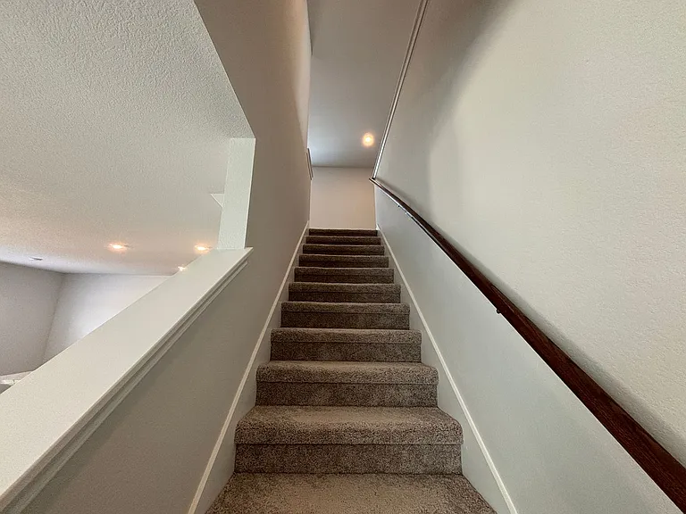 2242 Dry Moss Way — Photo 11