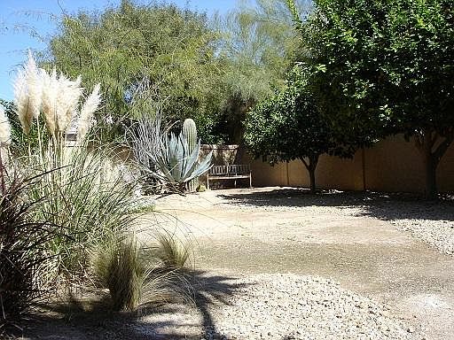 Private Yard with Citrus