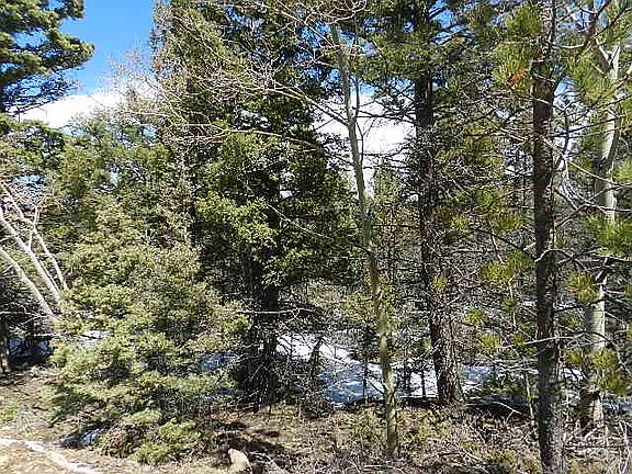4th image of 169 Wagon Loop Rd